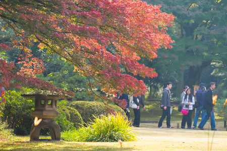 Colorful autumn in rikugien Japan; 20th November 2016のeditorial素材