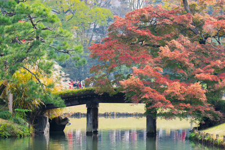 Colorful autumn in rikugien Japan; 20th November 2016のeditorial素材