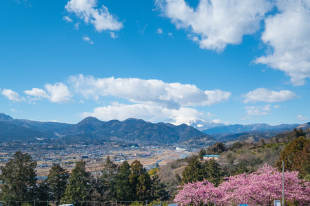 Matsuda Sakura Festival in japan;11st Feb 2017のeditorial素材