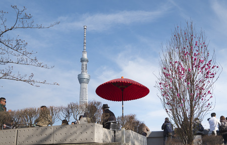 Tokyo Sky Tree to see from Sumida Park in Tokyo,Japan; 2nd Apr 2017のeditorial素材