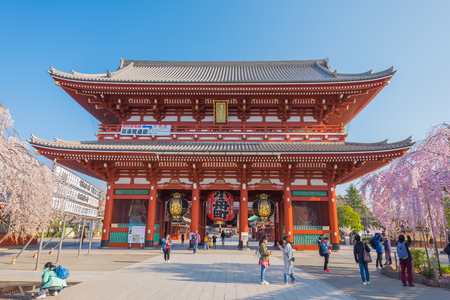 Cherry blossom at Sensoji Temple at asakusa,tokyo,Japan: 25th March 2018のeditorial素材