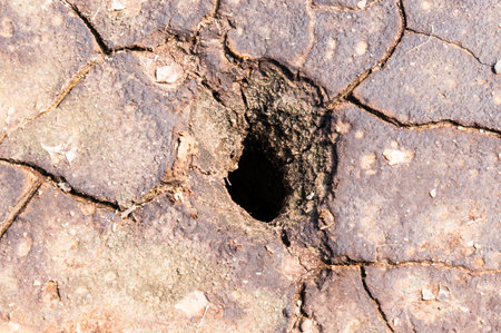 Black and brown dirt hole background or pattern dry