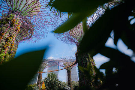 Gardens by the Bay in Singapore