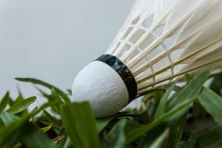 Shuttlecock on green grass and white backgroundの写真素材