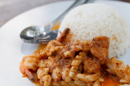 Rice and Panaeng curry with seafoodの写真素材