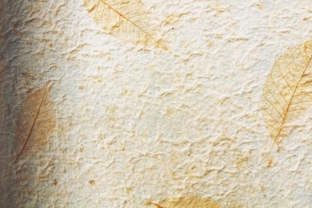 Paper Texture Background from mulberry paperの写真素材