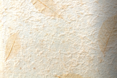 Paper Texture Background from mulberry paperの写真素材