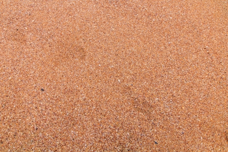 beach of tropical sea backgroundの写真素材