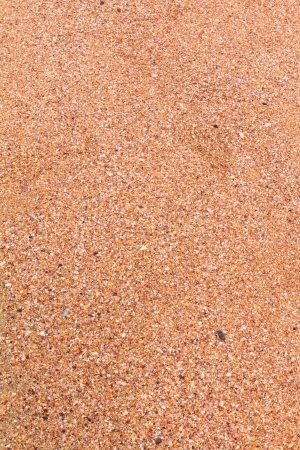 beach of tropical sea backgroundの写真素材