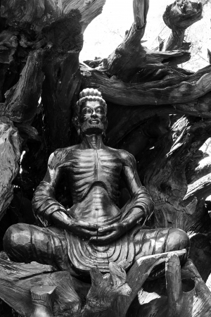 woodcutting buddhaの写真素材