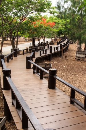 Walk way bridge in the gardenの写真素材