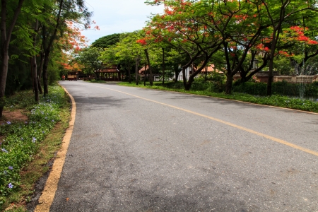 Curve road in public parkの写真素材