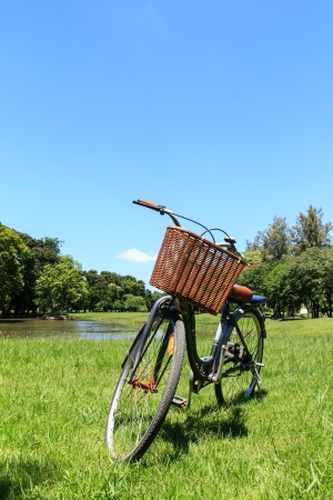 Bicycle in the park during dayの写真素材