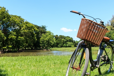 Bicycle in the park during dayの写真素材