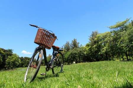 Bicycle in the park during dayの写真素材