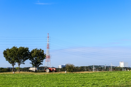 The farm of Japanese people in Nagoya, Japanの写真素材
