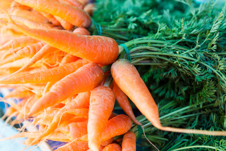 fresh carrot fruits with green leavesの写真素材