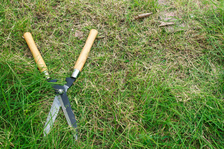 Scissors to cut the grass put in the gardenの写真素材
