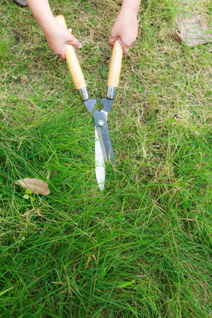 Woman hand on scissors to cut the grass in the gardenの写真素材