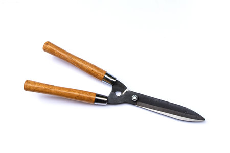 Grass scissors isolated on white backgroundの写真素材
