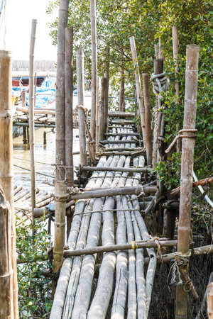 Bamboo bridge for fisherman walk to the boatの写真素材