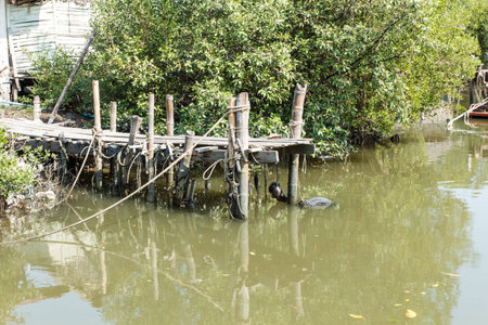 Bamboo bridge for fisherman walk to the boatの写真素材