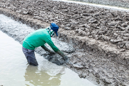 Rural farmer working on the field on daytime-4の写真素材