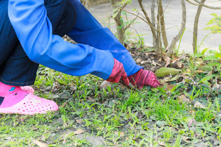 Worker cutting grass in the gardenの写真素材