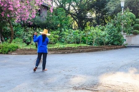 Road Sweeper cleaning walkway in the public parkの写真素材