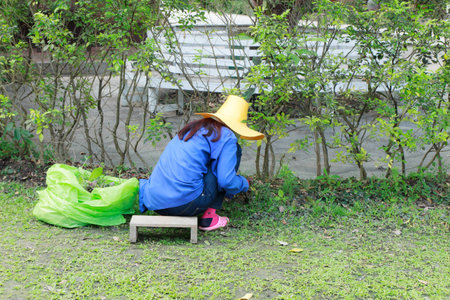 Worker cutting grass in the gardenの写真素材