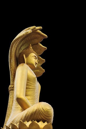 statue buddha on sky backgroundの写真素材