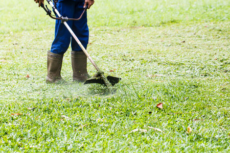 Man moves with lawnmower and green grassの写真素材