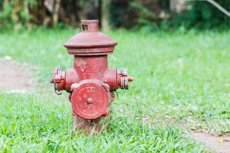Red water pump on green grassの写真素材