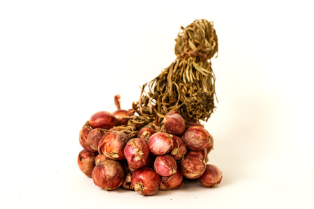Shallot onions in a group isolated on white backgroundの写真素材
