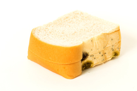Bread covered in mold which Isolate on white backgroundの写真素材