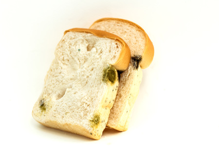 Bread covered in mold which Isolate on white backgroundの写真素材