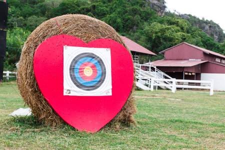 Heart concept target in outdoorのeditorial素材