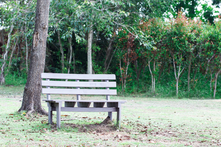 bench or chair in the parkの写真素材