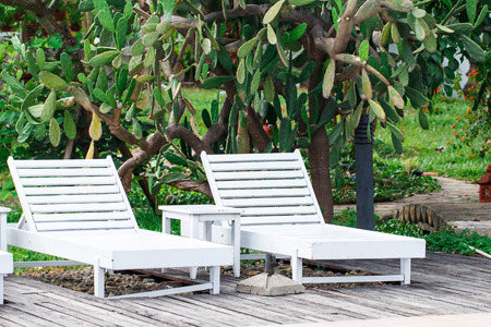 bench or chair in the parkの写真素材
