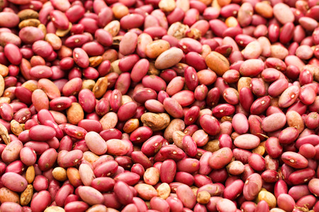 Red peanuts with red skinの写真素材