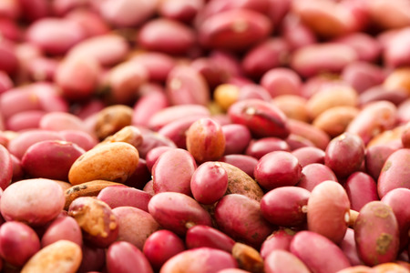 Red peanuts with red skinの写真素材