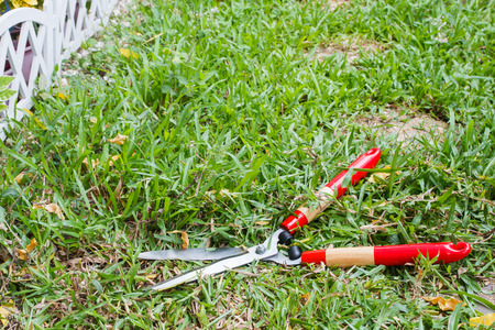 View of Scissors to cut the grass in the gardenの写真素材