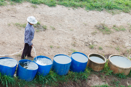 Rural farmer fill water for cowの写真素材