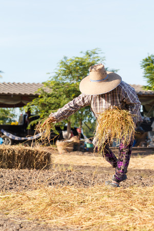 Woman rural farmer with haystack and blue skyの写真素材
