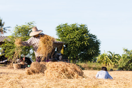 Woman rural farmer with haystack prepare for agriculture with childrenの写真素材
