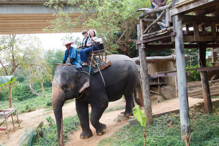 Kanchanaburi, THAILAND - JAN 02, 2017: Tourists ride an elephant. Thai elephants used to be one of the main way of transportation for touristsのeditorial素材