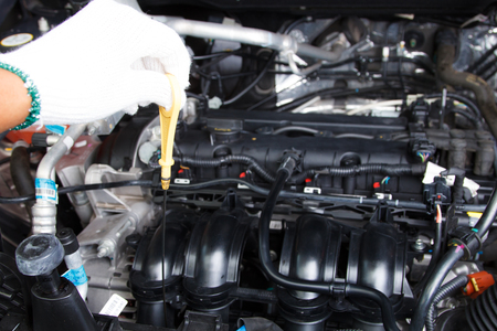 Hand with glove checking engine oil in modern car motorの写真素材