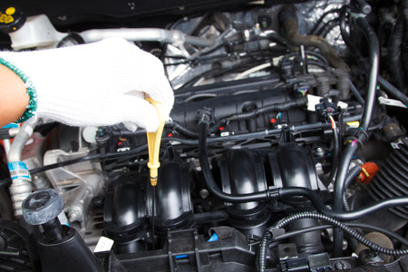 Hand with glove checking engine oil in modern car motorの写真素材
