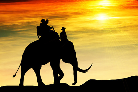 Silhouette elephant and tourist riding outdoor with lens flare light effect
 ,culture tourism in Thailandの写真素材