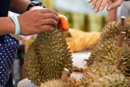 Trader peeling durian to customers at the street market, durian is a famous fruit of Thailand and is a favorite of foreigners.の写真素材